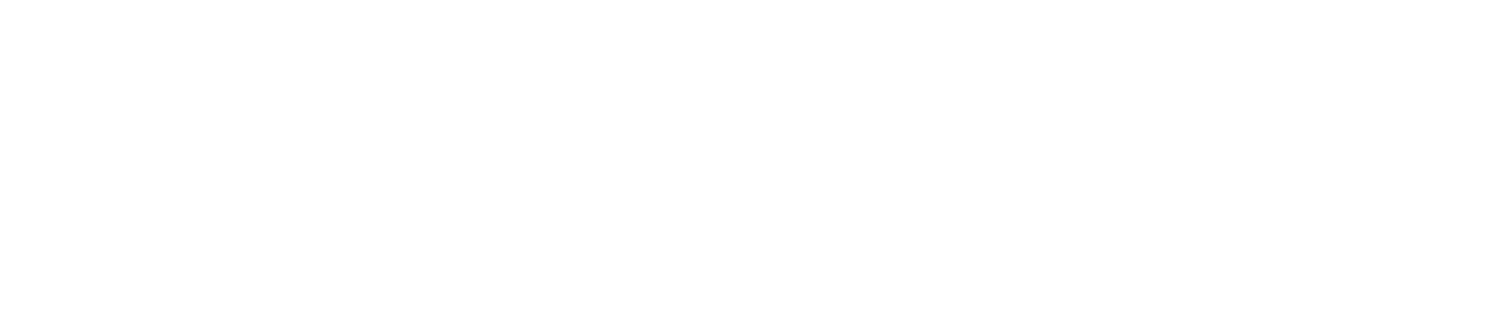 BISARA